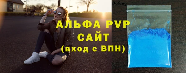 стаф Алексин