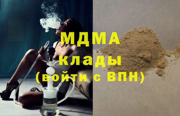 стаф Алексин