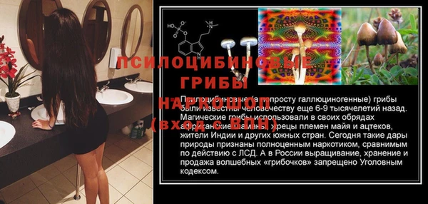стаф Алексин