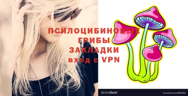 стаф Алексин