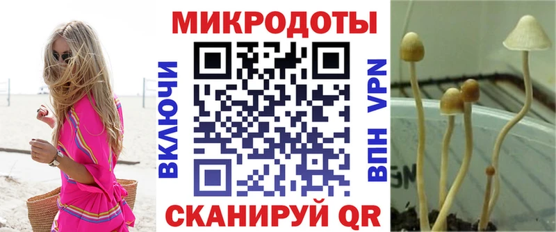 Галлюциногенные грибы прущие грибы  Сосновоборск 